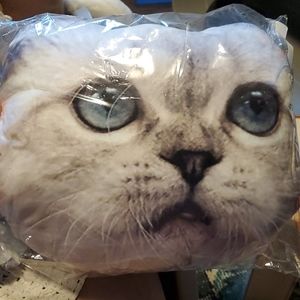 Taylor Swift Olivia Cat Pillow